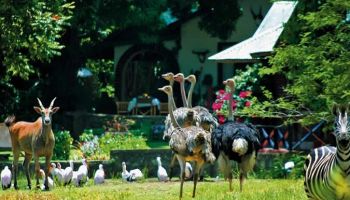 10 Days Tanzania Acacia Safari Tour