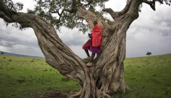 11 Days Migration Experience Tour