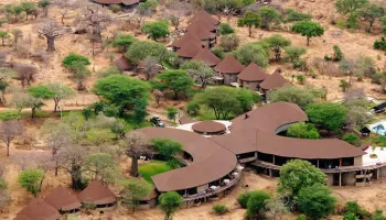 Manyara Tour Packages