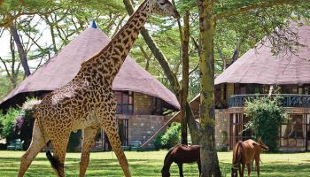 10 Days Kenya Family Expedition Tour