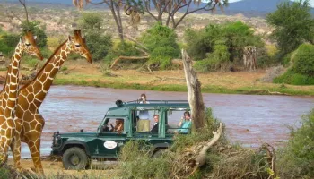 3 Days Safari Serengeti - Ngorongoro Crater Tour