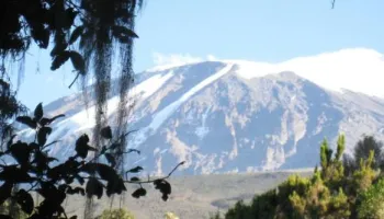 Lemosho Route 8 Days Highlights Tour