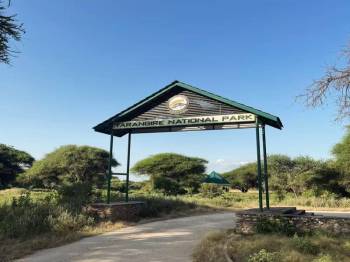 5 Days 4 Nights Tanzania Signature Luxury Safari Experience