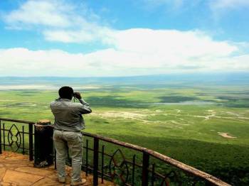 7 Days Ultimate Northern Tanzania Wildlife Expedition