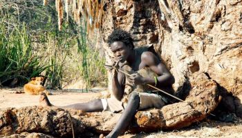 Ngorongoro Tour Packages