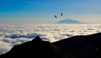 9 Days Rongai Route - 7 Days Hiking Tour