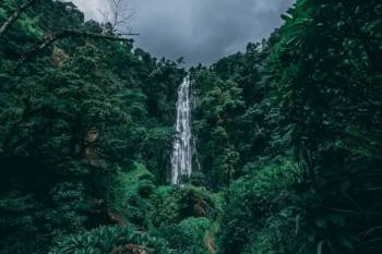 One Day Napuru Waterfalls Tour