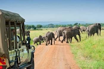 Ngorongoro Tour Packages