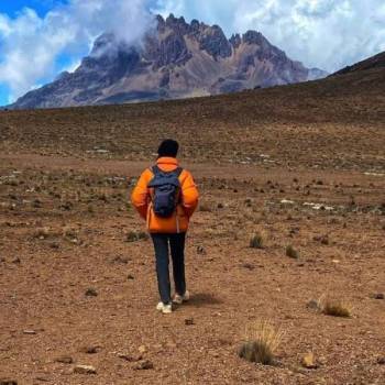 8 Days Kilimanjaro - Lemosho Route Tour