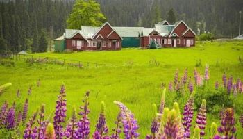 4 Night 5 Days Kashmir Place of Heaven