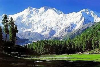 4 Night - 5 Days Kashmir Tour Package