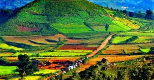 2 Night 3 Days All India To Araku Valley