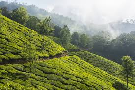 3 Night 4 Day Dharmshala Tour Package