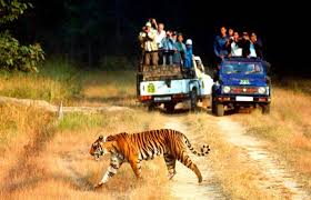 2 Night 3 Day Jim Corbett Tour