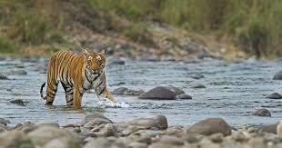 2 Night 3 Day Jim Corbett Tour