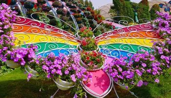 Dubai Package 05 Nights - 06 Days