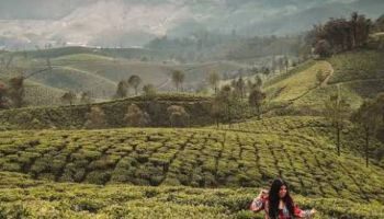 8D Munnar - Madurai - Rameswaram - Kanyakumari - Alleppey Tour