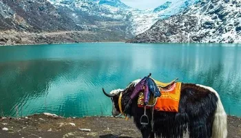 7N Gangtok - Lachung - Darjeeling Tour Package