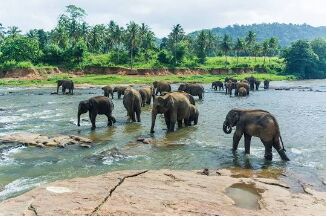 04 Nights - 05 Days Sri Lanka Tour Package