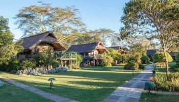 Mount Kenya Honeymoon Holiday Package