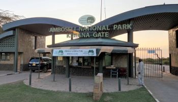 01 Nights 02 Days Amboseli National Park Tour