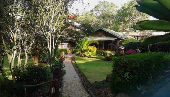 Team Building For Two Places In Meru Tour