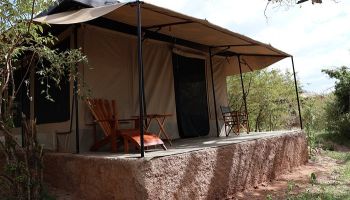 5 Nights 6 Days Nairobi - Lake Bogoria - Lake Nakuru - Maasai Mara Safari