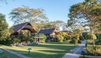 Mount Kenya Holiday Package- 3 Nights 4 Days