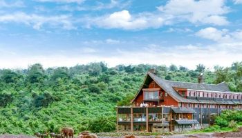 Team Building In Tafaria Castle - Country Lodge Tour