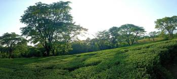 8 Nights 9 Days Heaven Himachal Tour Package