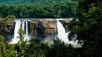 Thekkady Tour Packages