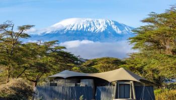 Fazagah Luxury Plus Package Show Up