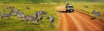 6-Day Luxury Honeymoon Safari - Beach Holiday Tour
