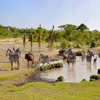 4-Day Beach To Bush - Fly In - Fly Out Luxury Tour
