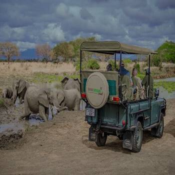 5-Day Beach Holiday - Game Drive Safari Tour From Zanzibar