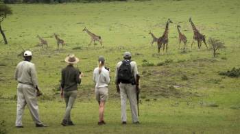 8-Day Safari - Beach Holiday Tour