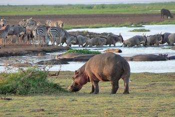 8-Day Safari - Beach Holiday Tour