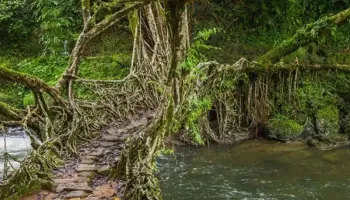 North East India Tour Package 15 Days