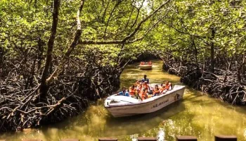 Wanderlust Andaman With Baratang - Havelock And Neil Island Tour