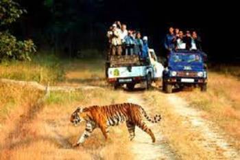 7N 8D Nainital - Jim Corbet - Rishikesh Tour