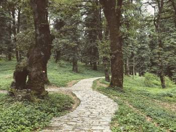 6n / 7d Hidden Gems - Mandi