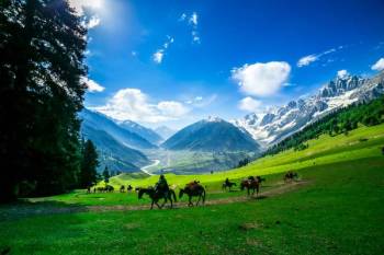 Kashmir Valley Tour