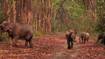 Wildlife - Nature Tour