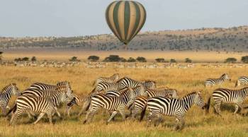 Ngorongoro Tour Packages