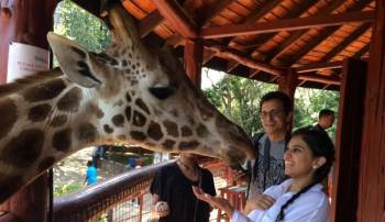 Nairobi Giraffe Centre Day Tour
