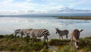 3 Days Amboseli Safari Tour