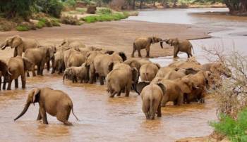 Samburu Tour Packages