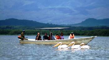 Ngorongoro Tour Packages