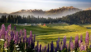 Parwanoo Tour Packages