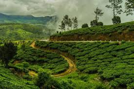 Darjeeling 3N - 4D Tour
